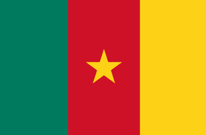 Drapeau Cameroun